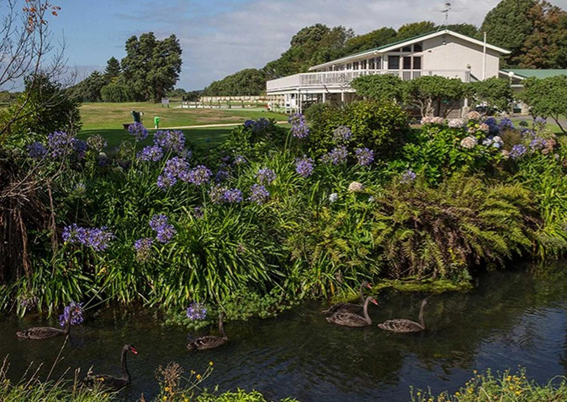 Waikanae Studio B&B Buitenkant foto